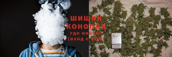 прущие грибы Гусь-Хрустальный