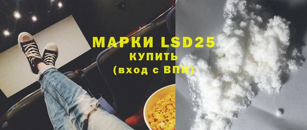 прущие грибы Гусь-Хрустальный