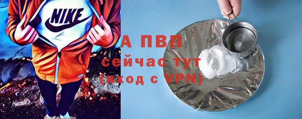 прущие грибы Гусь-Хрустальный