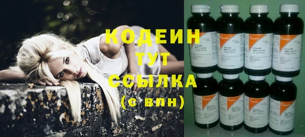 прущие грибы Гусь-Хрустальный