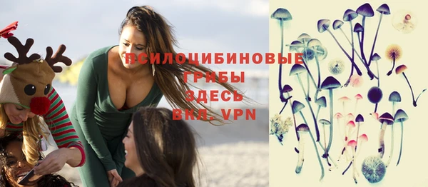прущие грибы Гусь-Хрустальный