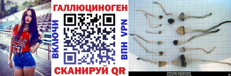МЕГА вход  Ростов  Галлюциногенные грибы прущие грибы 